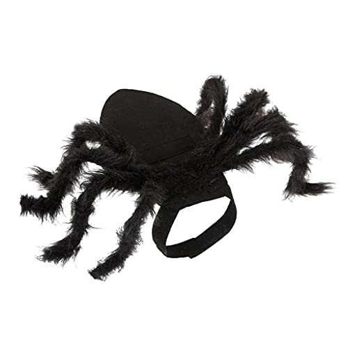 LOVIVER Spinnenhund Kostüm für Halloween Party - Hund Kostüm für Teddy, Mops, Chihuahua, Shih Tzu, Yorkshire Terrier
