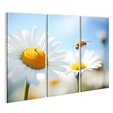 Viele ausgewählte Bilder in verschienden Formaten! Geben Sie einfach 