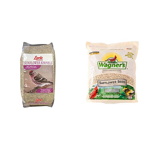 Lyric 2647446 Sunflower Kernels - 25 lb. & Wagner's 57075 Deluxe Safflower Seed Wild Bird Food, 5-Pound Bag