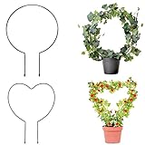 Levery 2 Pack Garden Trellis for Climbing Plants, 13 inches Rust-Proof Iron Metal Plant Support with Black Rust Proof Coating for Decorative Potted Climbing Vines and Flowers (Round & Heart) A1016