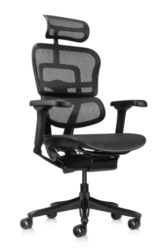 Image of Ergohuman ME7ERG GEN2 High Back Mesh Office Chair with Tilt Tension Control, Tilt Lock, Synchro Tilt, Seat Height, Seat Depth, and Arm Height Adjustments, Matte Black Frame