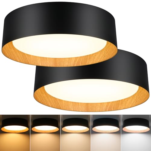 Image of Flush Mount Ceiling Light, 13in Modern Ceiling Light 5 Color Temperature