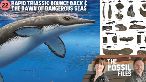 22. The dawn of dangerous seas in the Triassic