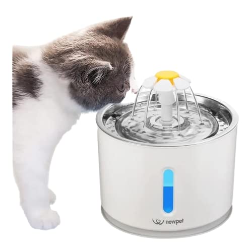 Bebedouro Fonte Gato Cão Filtragem Purificação Pet 2,4l