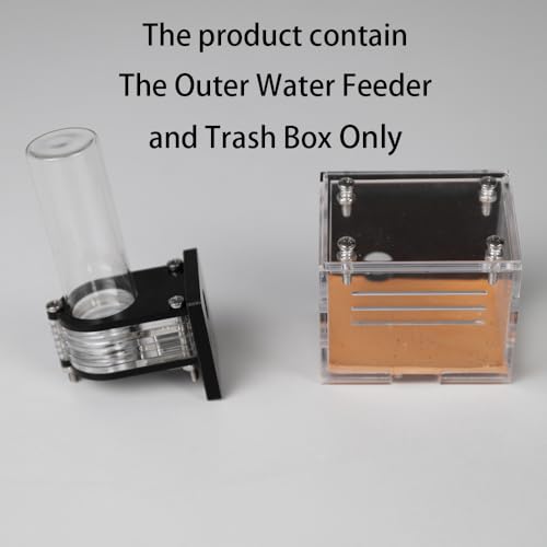 Image of Water Feeder and Trash Area for Rimsunta Ant Farm