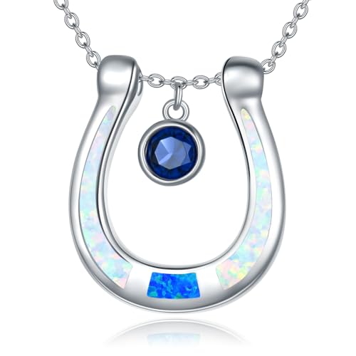 ZPMMPZ 上品なシルバーペンダントネックレス 925スターリングシルバーネックレス 女性用, Normal, スターリングシルバー, 合成サファイア