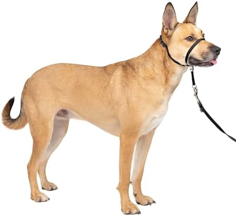 PetSafe Gentle Leader Headcollar No-Pull Dog Collar - Helps Impro...