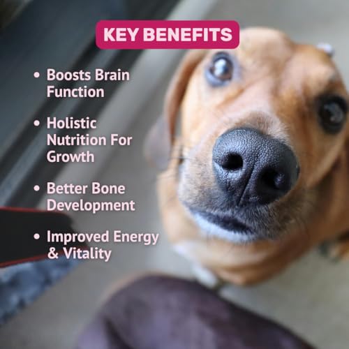 Image of Absolut Pet 12-in-1 Multivitamins for Dogs, Chews That Support Bone & Muscle Health with Vitamins A, D, E, K, Biotin and Zinc (90 Chews)
