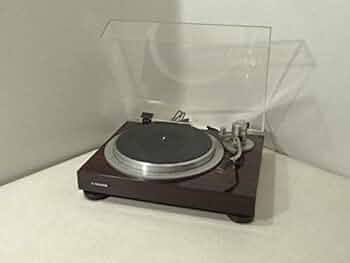 41YFqGdTE0L._AC_UF350,