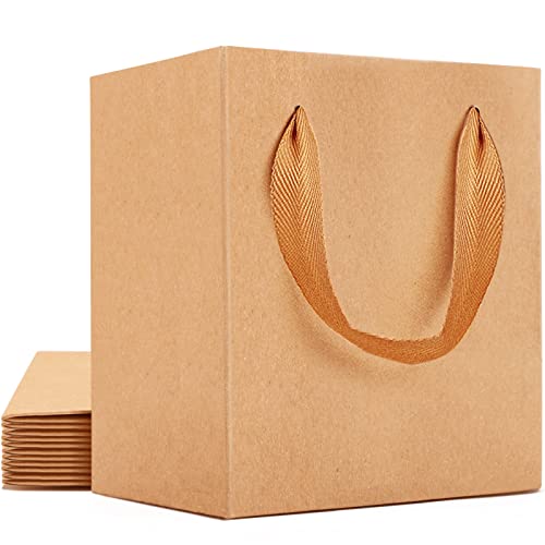 Sacs d'emballage cadeau en papier kraft avec poignées pour bijoux et boutique