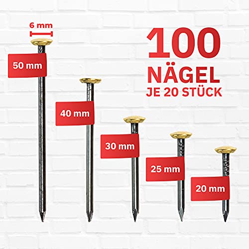 RIKAMA Steel Nails with Brass Head 6 mm Diameter 20 x 20 mm, 25 mm, 30 mm, 40 mm, 50 mm, for Use on Concrete Brick - Image 2