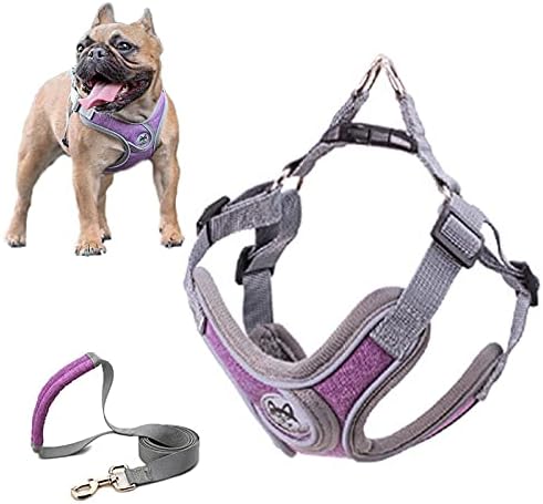 SKXEO Dog Harness Small Dog No Pull Dog Harness and Lead Set Adjustable Breathable Reflective Lightweight Pet Vest Harness Escape Proof Dog Harness Easy Control for Outdoor Walking Training