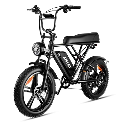 10 Best Dirt Bike For Fat Guy (December2023)