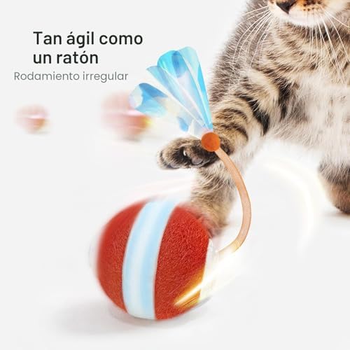 Interactive Cat Toys for Indoor Cats,The 3rd — packaging and what arrives in the box