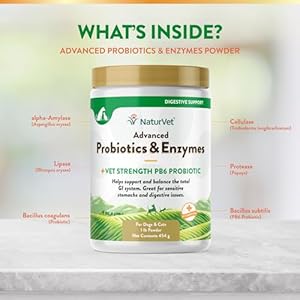 NaturVet – Advanced Probiotics & Enzymes – Plus Vet Strength PB6 Probiotic | Supports and Balances Pets with Sensitive Stomachs & Digestive Issues | for Dogs & Cats (1 lb)
