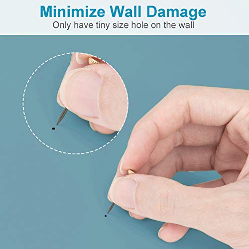 10Pcs Heavy Duty Picture Hangers With Nails, Kinxuanda Professional Picture Hanging Hooks Support Up To 100Lbs, Premium Hanging Hardware For Clock, Mirror, House Decoration #TOP2