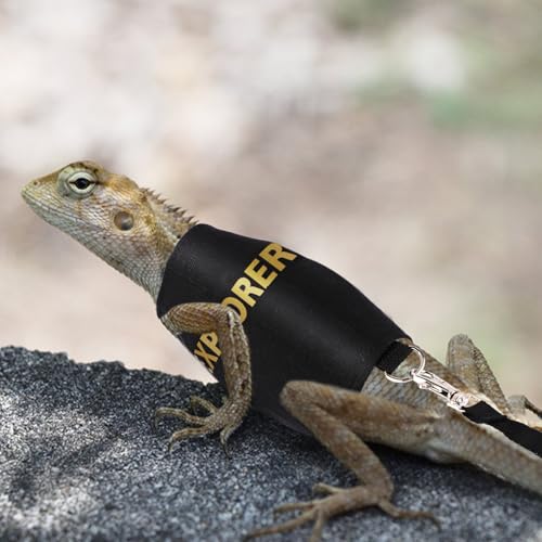 Image of PEUTIER Bearded Dragon Leash and Harness Set, Escape Prevention Bearded Dragon Accessories Adjustable Lizard Reptiles Harness for Chameleon Small Pet Amphibian Outdoor Safe Walk, Medium, black