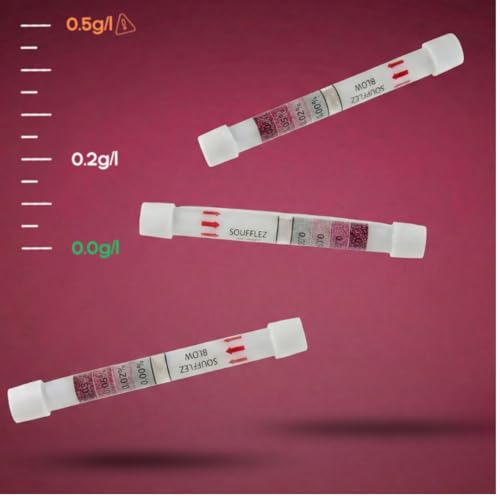 Capote2Verre Etilometro Usa E Getta, Confezione Da 2, Alcoltest Monouso, Pronto All'uso, Risultato Rapido, Da Portare Ovunque Con Te - 5