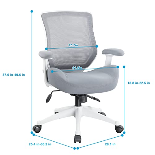 Boliss Office Chair Ergonomic Desk Chair Mesh Computer Chair Height Adjusting Arm Waist Support Function-Grey #TOP5