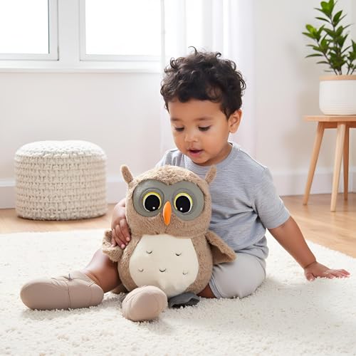 Image of Ryttir 2 Pack 11.7Inch Chubby Small Owl Stuffed Animal, Adventure Stuffed Owl Plush Toy, Brave Boy's and Girl's Room Decor,Funny Owls Gift for Baby Kids Women