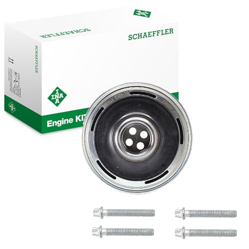 INA 544 0169 20 Jeu de poulies vilebrequin avec accessoires Compatible avec BMW X1 F48 11238602800 8602800