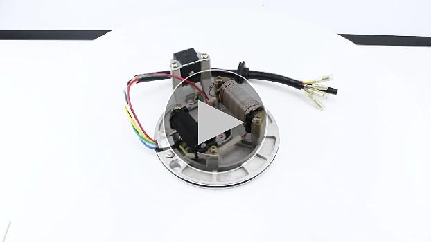 Amazon.com: PRO BAT Lifan Magneto Flywheel Stator Plate for