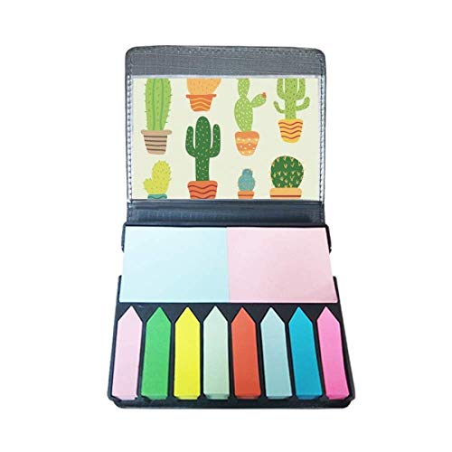 Cactus plantes en pot terracotta illustré de motifs cactées originaux