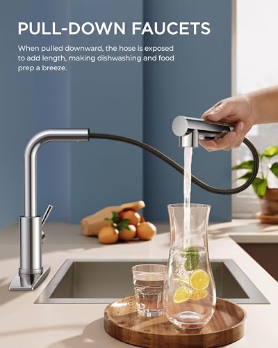 Image of FORIOUS Kitchen Sink Faucet, with Pull Out Sprayer, Single Handle, Chrome