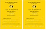 SellerRocket Impfpass/Impfbuch/Impfausweis - 2026 - Internationale Bescheinigung über Impfungen in Gelb (Packung mit 2)