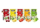 INSTICK Bebida instantánea sin azúcar (Paquete de mezcla de frutas) varios sabores clásicos 5x12 Sticks - 1 Stick para 0,5-1 L - Polvo de bebida vegano bajo en calorías y con vitamina C - Polvo
