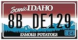 30x15 cms en métal OPO 10 - Plaque d\'immatriculation Américaine - réplique de Plaque réelle USA en métal 30x15 cm : Idaho (C16)