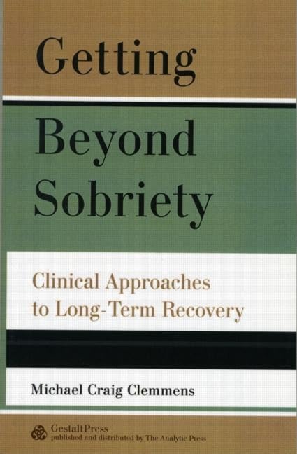 Getting Beyond Sobriety: Clinical Approaches to Long-Term Recovery      Paperback – May 17, 2005