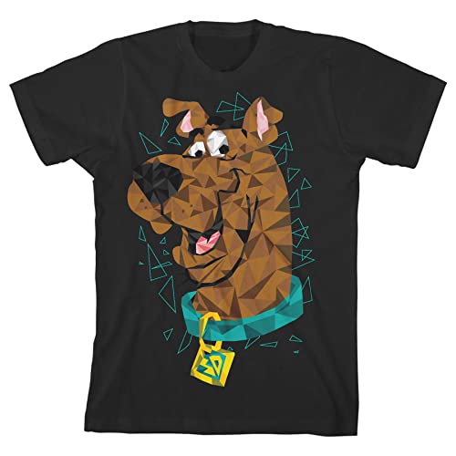 Scooby Doo Poly Art Pup Black T-Shirt Toddler Boy to Youth Boy