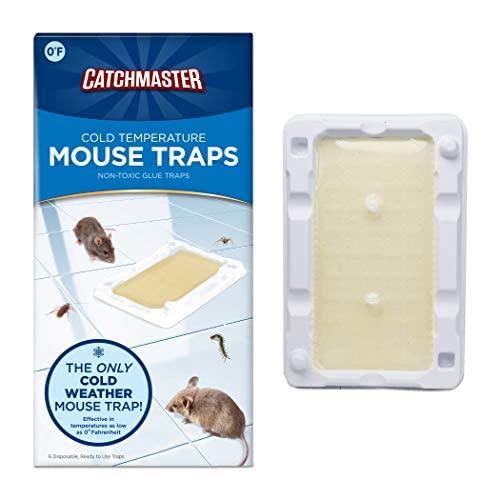 Cold Weather Mouse Rodent & Insect Glue Trays by Catchmaster - 6 Trays, Ready to Use Indoors. Bug Temperature Adhesive Exterminator Easy Disposable No-Mess Non-Toxic - Made in The USA