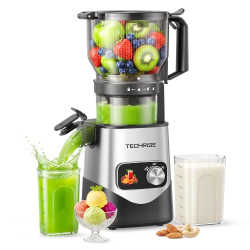 Image of TechRise 3-in-1 Cold Press Juicer with 6" Wide Feed Chute, Slow Masticating Juicer Machine for Whole Fruits & Vegetables, Makes Juice, Fruit Sorbet & Nut Milk, Easy to Clean, BPA-Free, Space Silver
