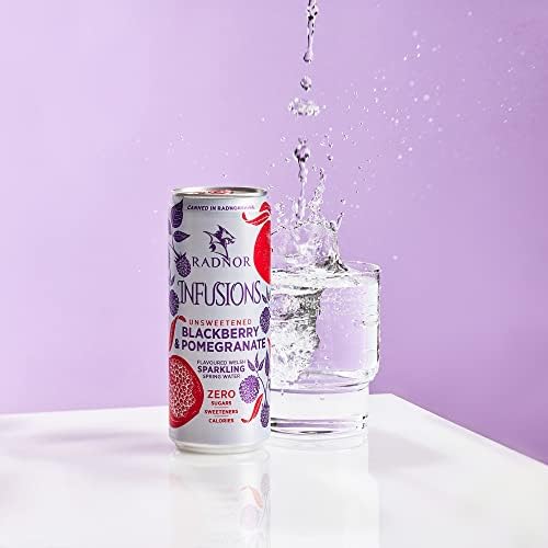 Radnor Infusions Sparkling Blackberry and Pomegranate 12 x 330ml