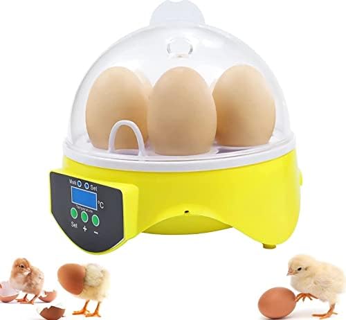 Mini incubadora de huevos, incubadora digital de aves de corral, con disco digital y control de temperatura para pollos, patos, pájaros, gansos