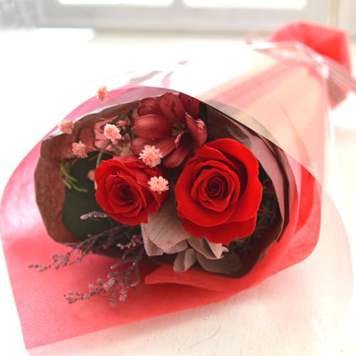 vU[uht[ ~j ԑP u[P v`u[P Mtg v[g  a j  AeB[N  킢 (bh)