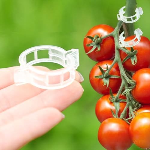 Luxdesc 120pcs White Plant Support Clips - Tomato Clips for String Trellis Grape Vine Clips for Garden Netting Climbing Plants Secured Plastic Plant Clip for Fixing Stem and Vine