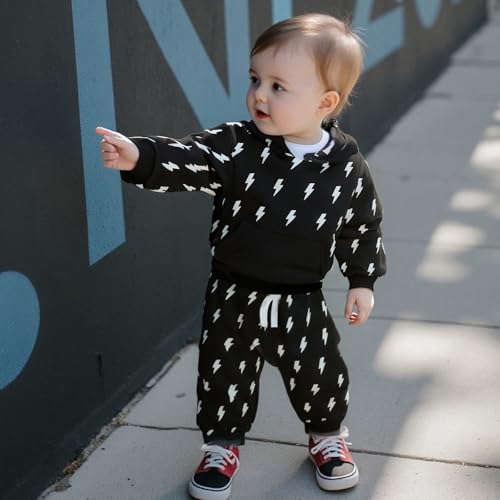 Fernvia Toddler Baby Boy Clothes Long Sleeve Hoodie Sweatshirt and Print Pants Infant 2PCS Fall Winter Outfits Set2