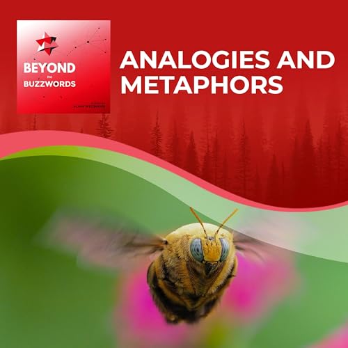 『Analogies and Metaphors S1:E2』のカバーアート