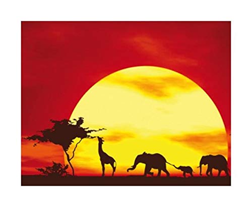 Apalis XXL Pellicola per vetri No.CG80 Sunset