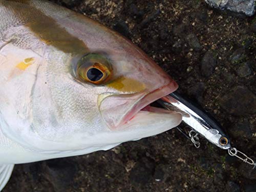 シマノ(SHIMANO) ルアー アジング メバリング ペンシルベイト ソアレ ライズショット スティック 60S AR-C 60mm 8g OL-260R 2枚目