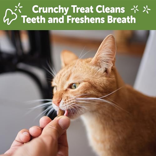 Image of Whimzees Wellness Cat Dental Treats, Natural Chews, Chicken and Tuna Flavor, (4.5 Ounce Bag) (Pack of 2)