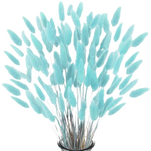 Damaiyyy Secas Naturales Cola de Conejo Flor,Hierba Seca de Cola de Conejo 60pcs Hierba de Pampas Secas para La Sala de Estar del Hogar Decoración de Racimos de Flores,Azul