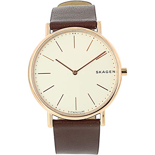 Skagen Signatur Watch