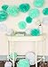 Fonder Mols Fluffy Tissue Pom Poms Paper Flowers Kit Party Hanging Flowers Ball for Wedding Birthday Bridal Baby Showers Nursery Decor(Set of 12,Mint White Green)