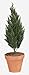 Autograph Foliages A-121 41 in. Polyblend Cypress Bush44; Green