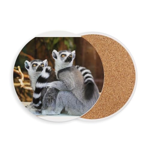 sous Verre Ronds en céramique - Couple de Lemuriens Madagascar Primate Rare Animaux Sauvages - 1 unité (108 x 108 mm)