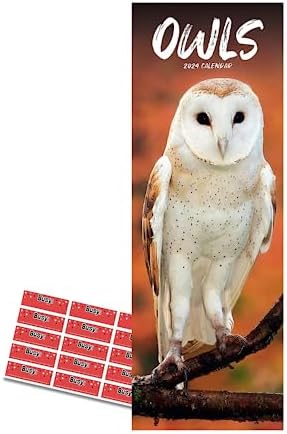 Bird Animal Theme Calendar RSPB Owls, 2026 Slim Wall Calendar By ...